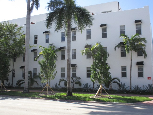 5 street trees6 5 street trees6