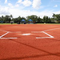 field5 field5