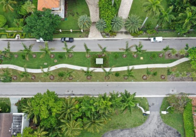 Palm & Hibiscus Landscaping